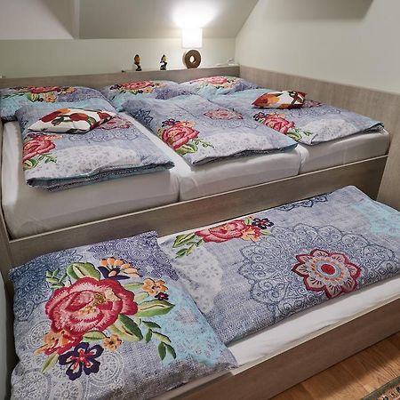 Apartmán u vleku Javor Pec pod Snezkou Esterno foto